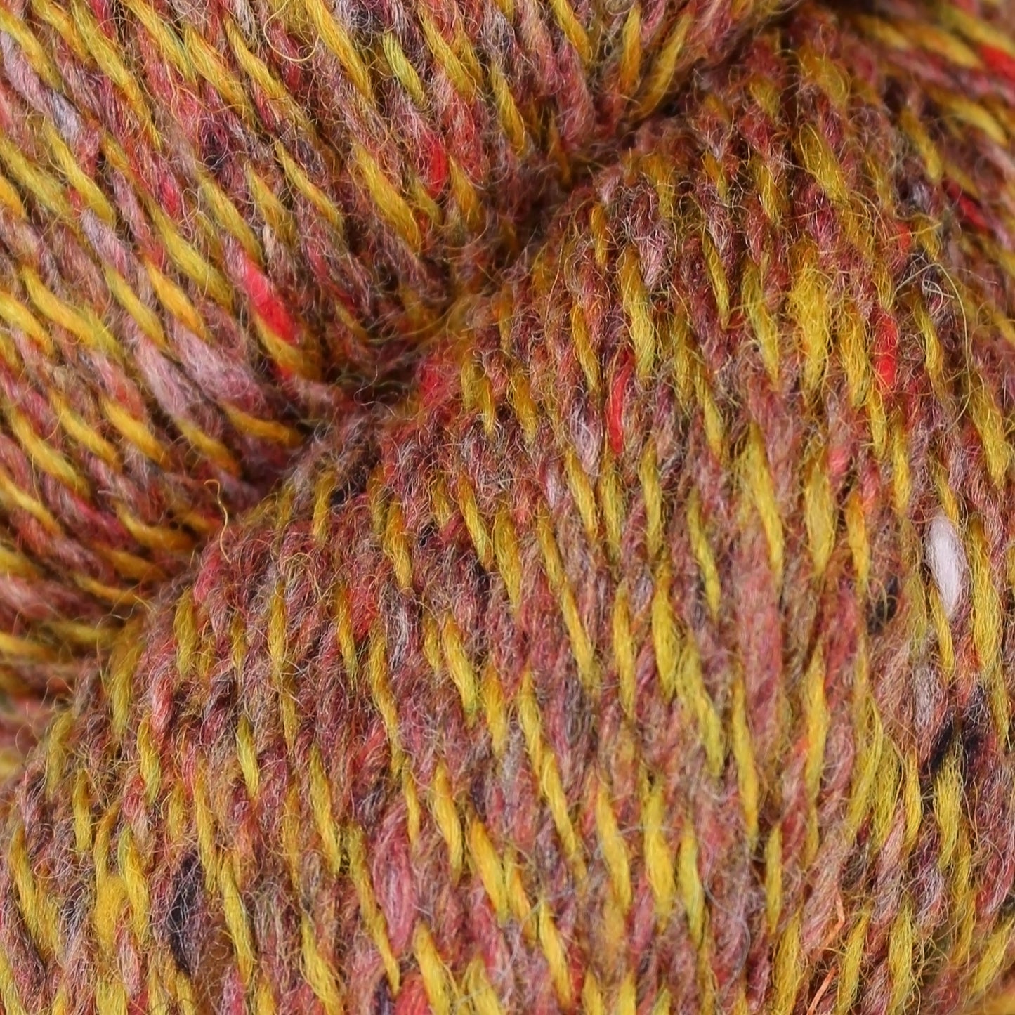 Donegal Twists Pack of 5: 28% Luxury British Wool, 72% Soft Donegal Merino Hand Knitting Wool 100g Hank