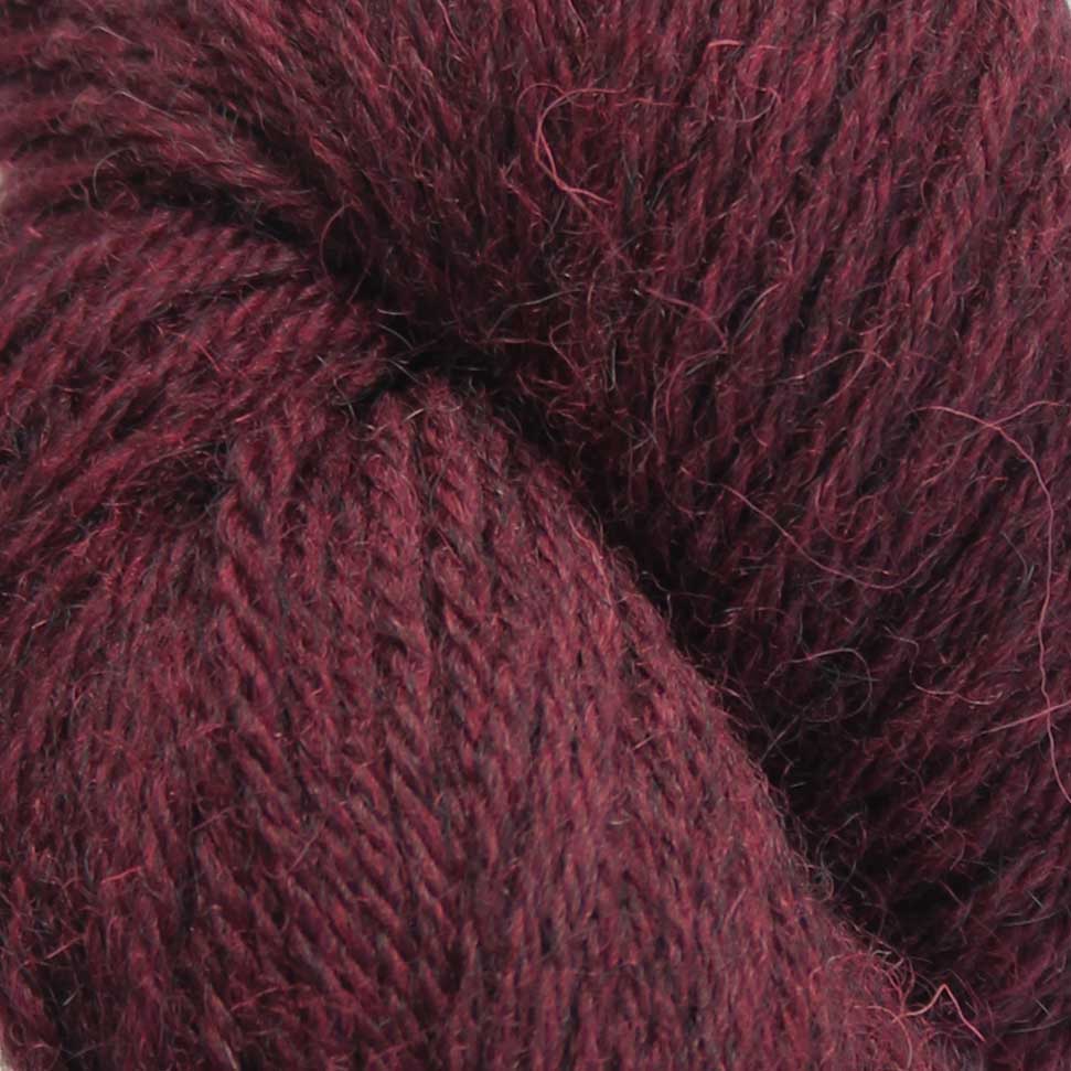 Eden DK Pack Of 5: 70% Organic British Hand Knitting Wool, 30% Alpaca 100g Hank