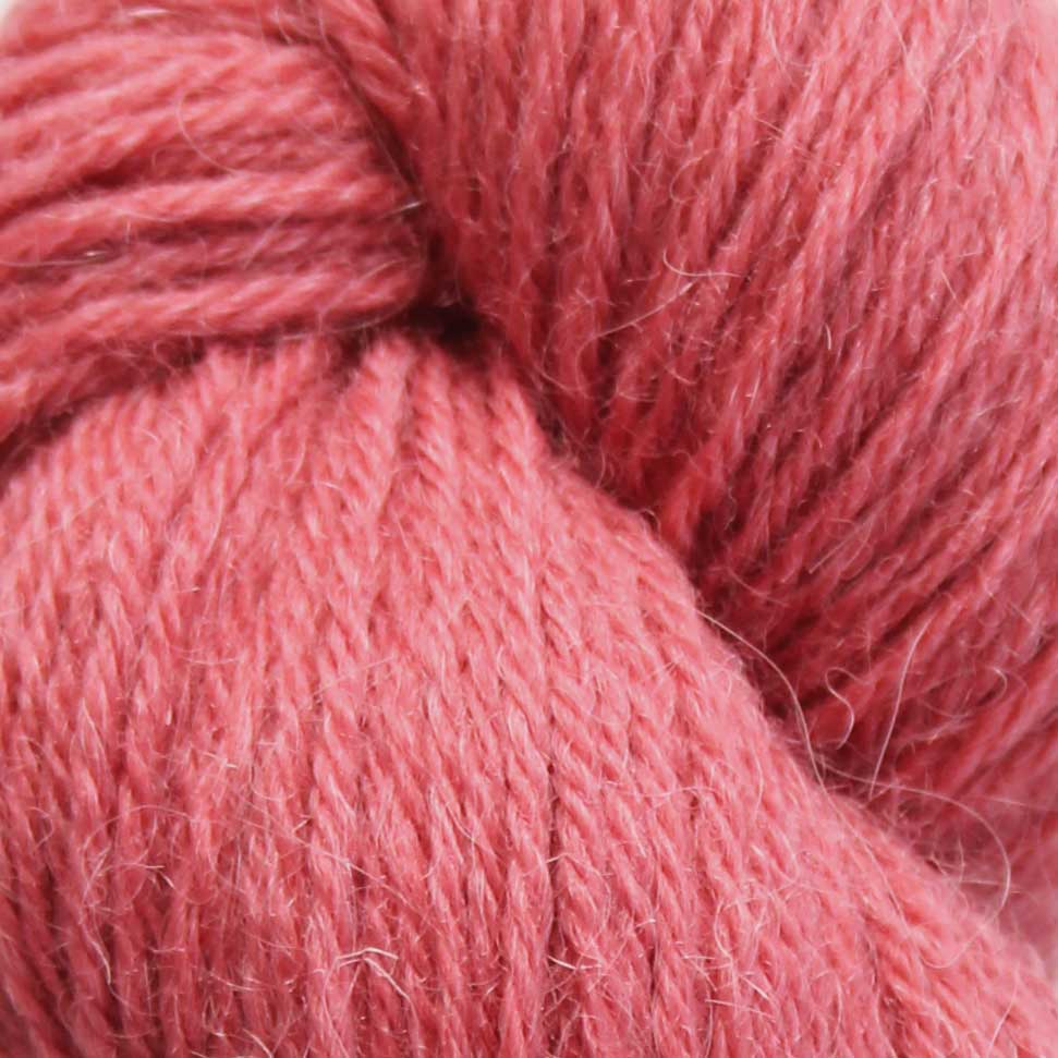 Eden DK Pack Of 5: 70% Organic British Hand Knitting Wool, 30% Alpaca 100g Hank