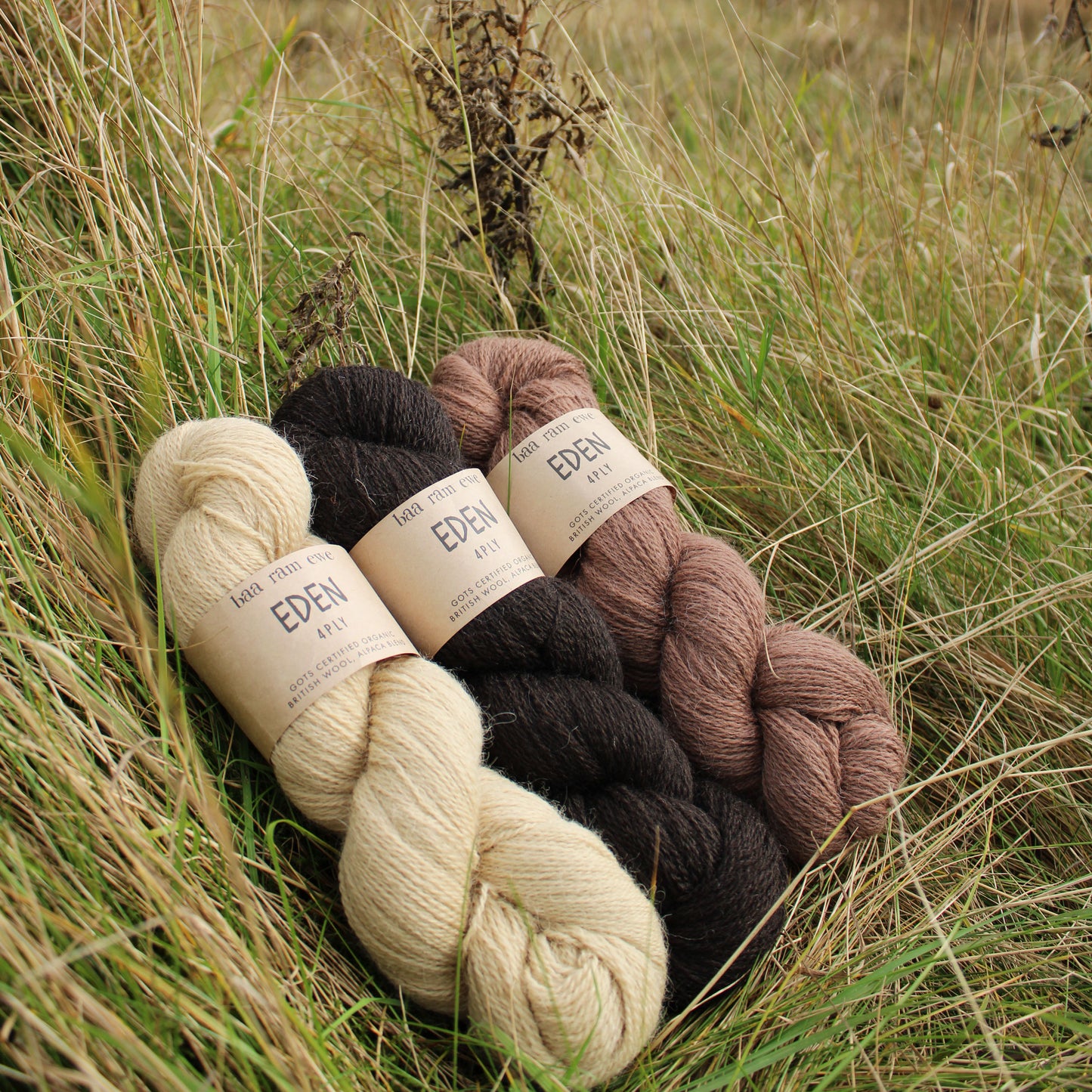 Eden 4Ply Pack Of 5: 70% Organic British Hand Knitting Wool, 30% Alpaca 100g Hank