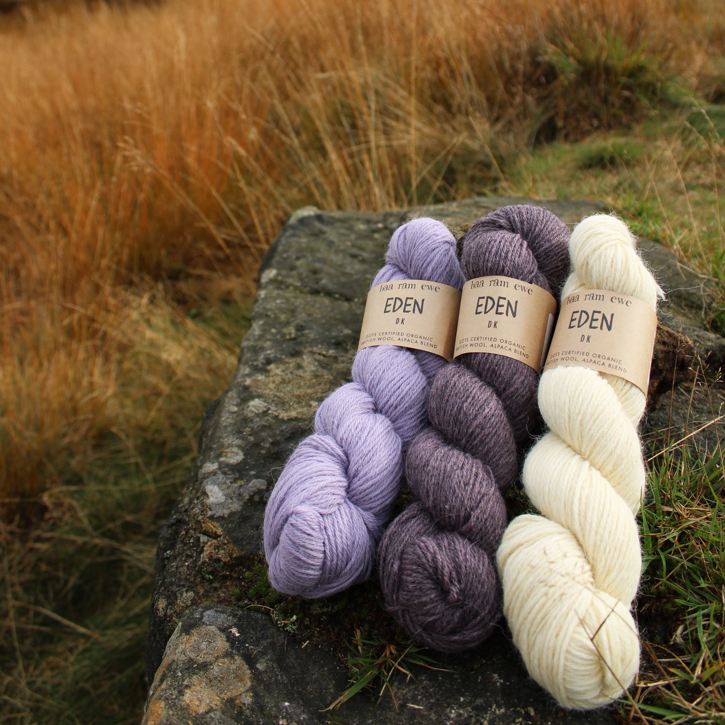 Eden DK Pack Of 5: 70% Organic British Hand Knitting Wool, 30% Alpaca 100g Hank