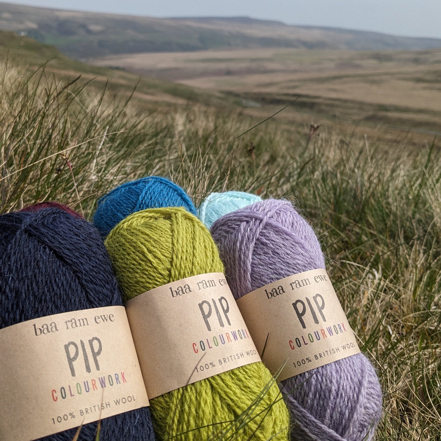 Pip Colourwork 4ply Pack Of 10: 100% British Hand Knitting Wool 25g Ball