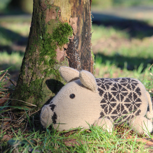 Plum Pudding Pig Pattern Pack of 5