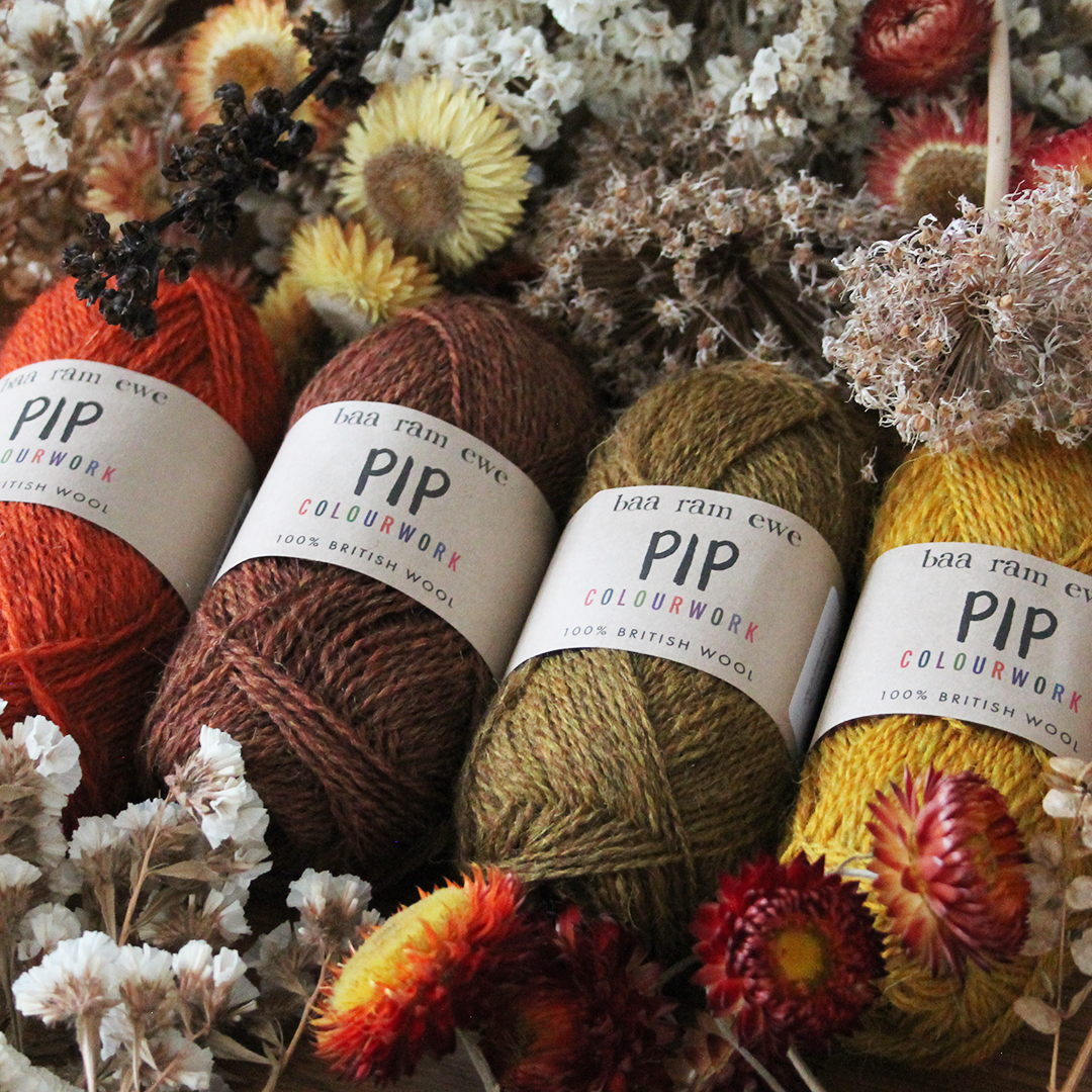 Pip: 4ply British Wool – baa ram ewe
