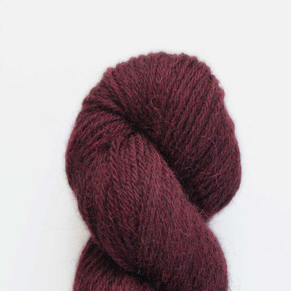 Eden DK: 70% Organic British Hand Knitting Wool, 30% Alpaca 100g Hank