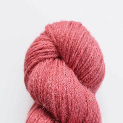 Eden DK: 70% Organic British Hand Knitting Wool, 30% Alpaca 100g Hank