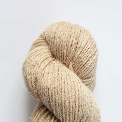 Eden DK: 70% Organic British Hand Knitting Wool, 30% Alpaca 100g Hank