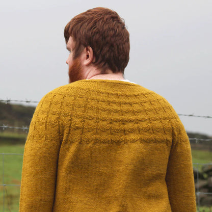 Woodnote DK: 34% Bluefaced Leicester, 33% Masham, 33% Merino Hand Knitting Wool 100g Hank