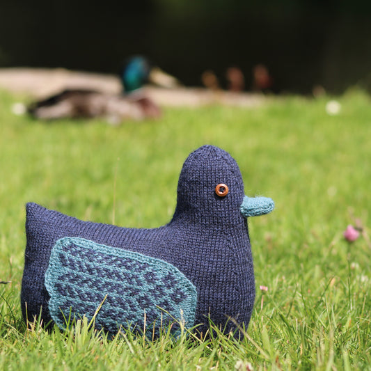 Dabbling Duck Pattern Pack of 5