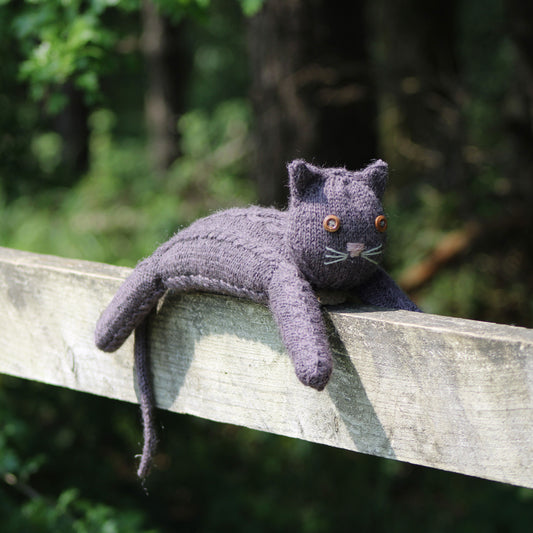 Moggy the Cat Pattern Pack of 5
