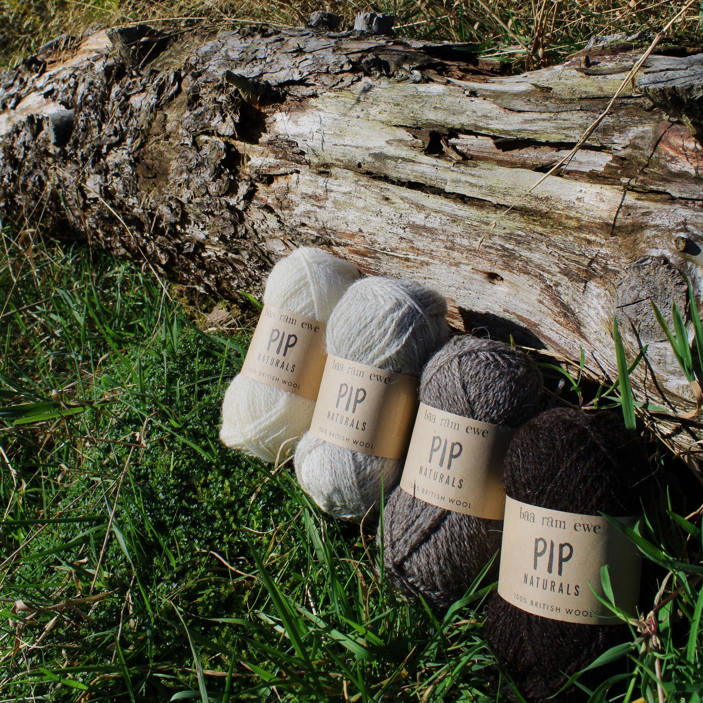 Pip Naturals (Undyed) 4ply: 100% British Hand Knitting Wool 25g Ball